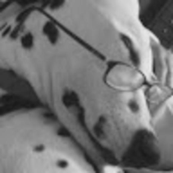 Meet your Posher, Renee - Picture 1 of 1